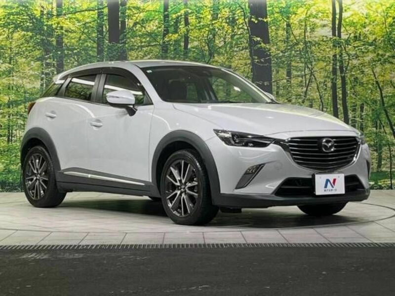 CX-3-16