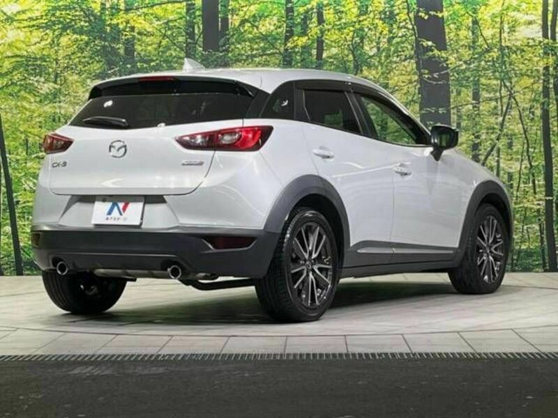 CX-3-17