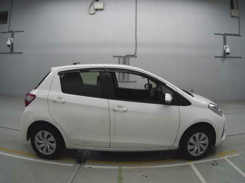 VITZ-3