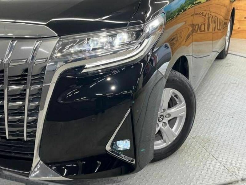 ALPHARD-12