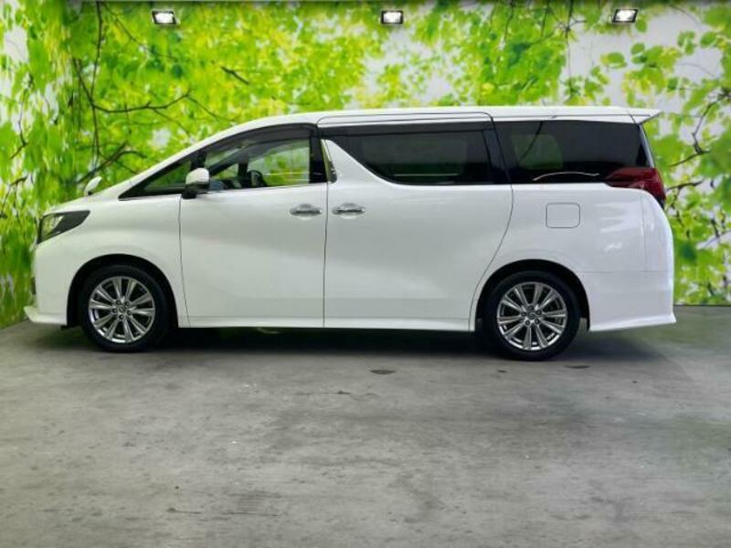 ALPHARD-1