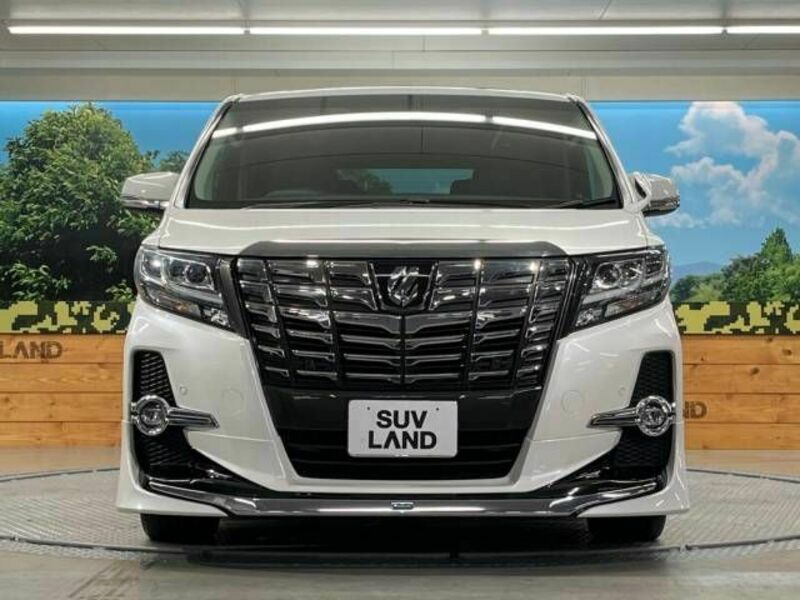 ALPHARD-14