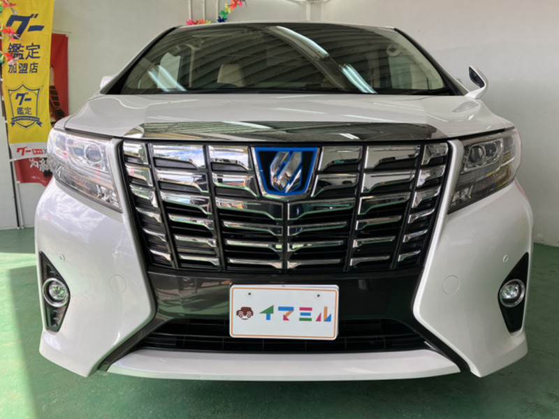 ALPHARD-6