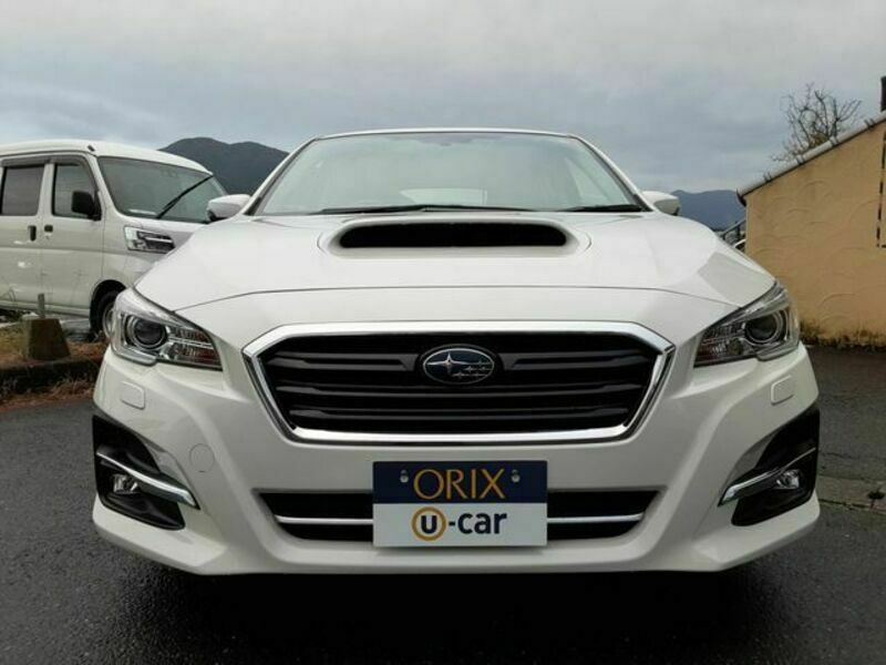 LEVORG-24