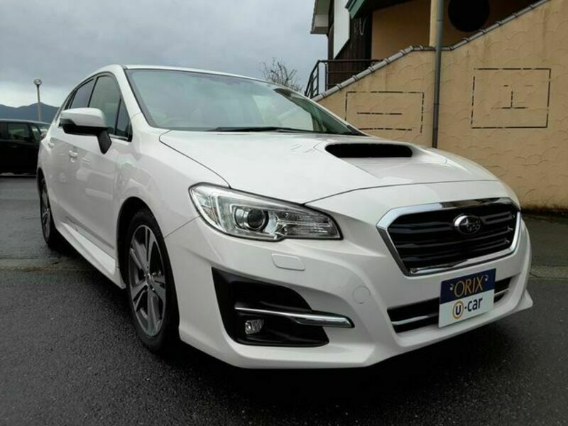 LEVORG-29