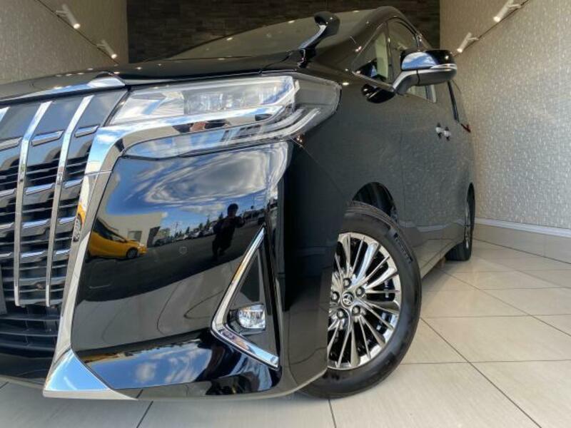 ALPHARD-9