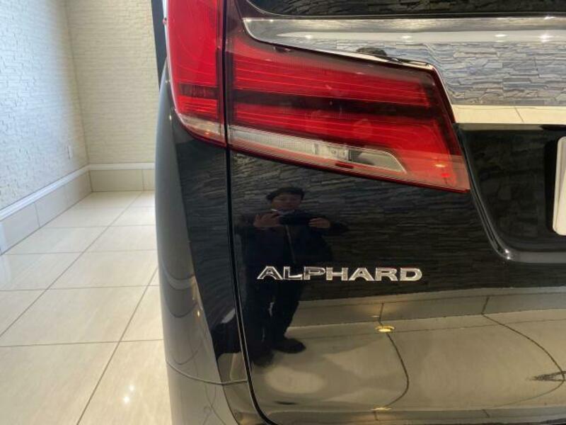 ALPHARD-11