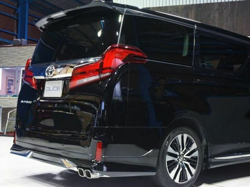 ALPHARD-11