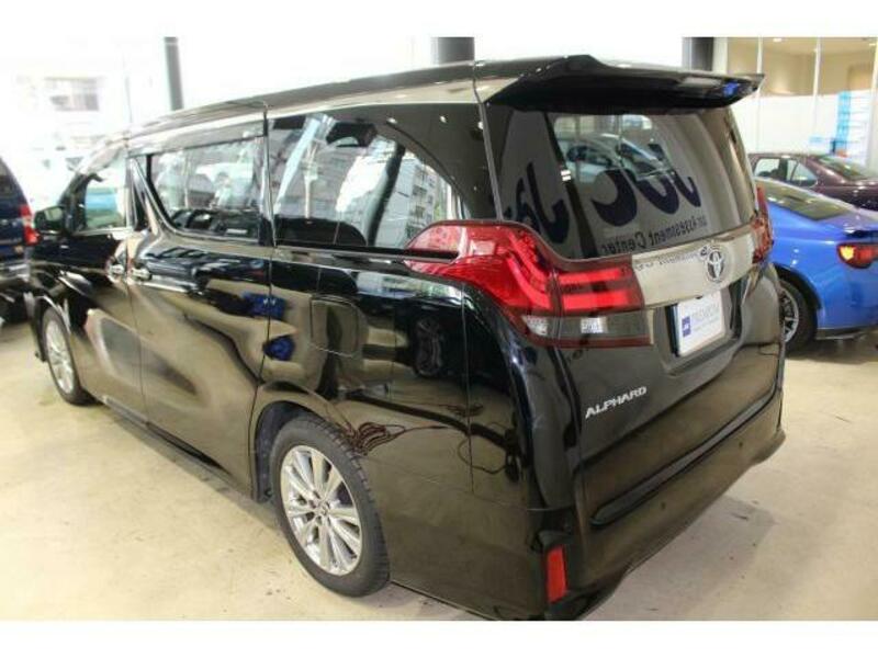 ALPHARD-10