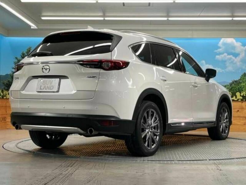 CX-8-17