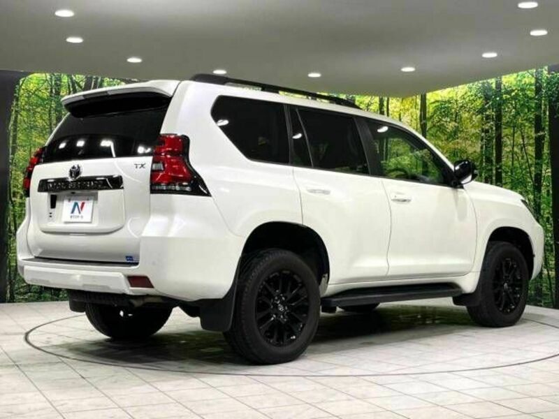 LAND CRUISER PRADO-17