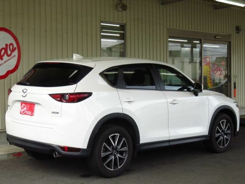 CX-5-3