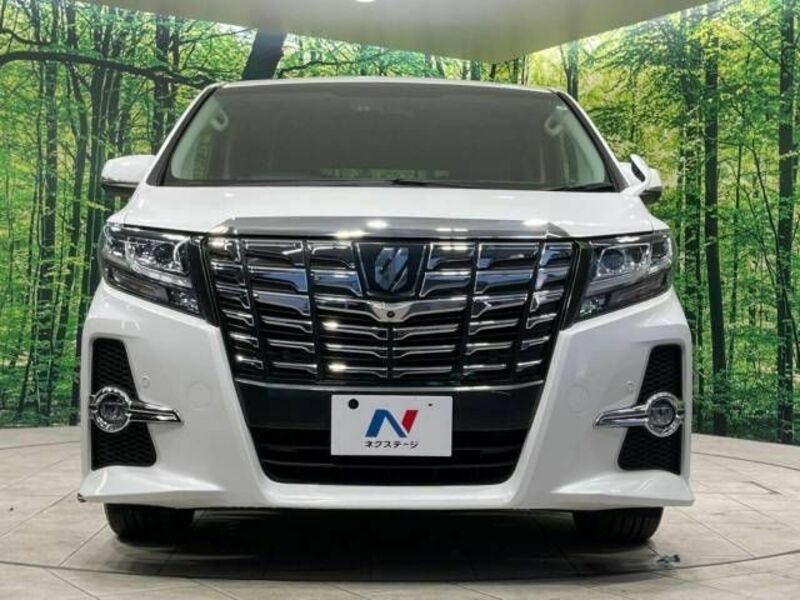 ALPHARD-15