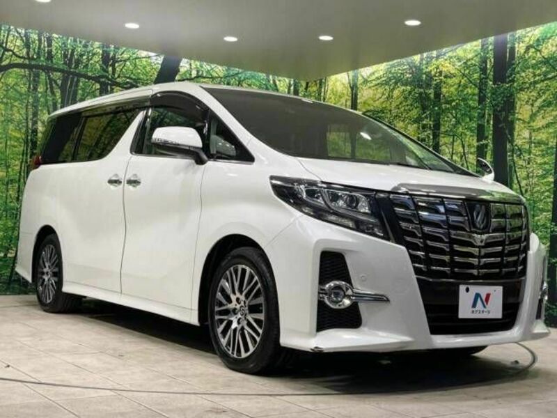 ALPHARD-17