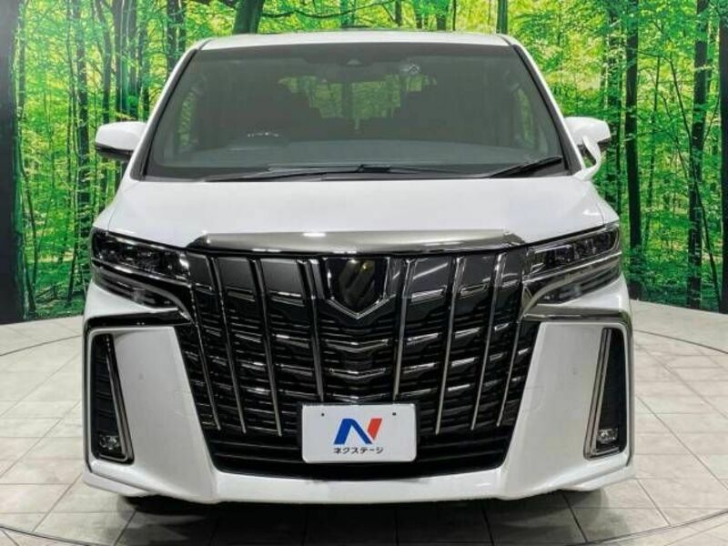 ALPHARD-14