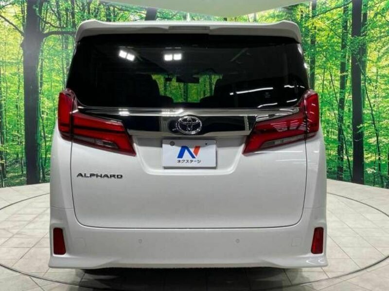 ALPHARD-15