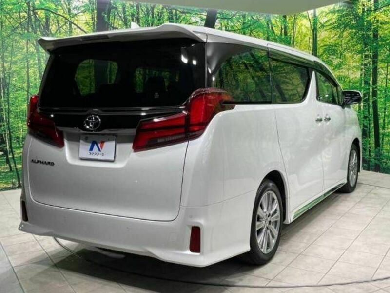 ALPHARD-17