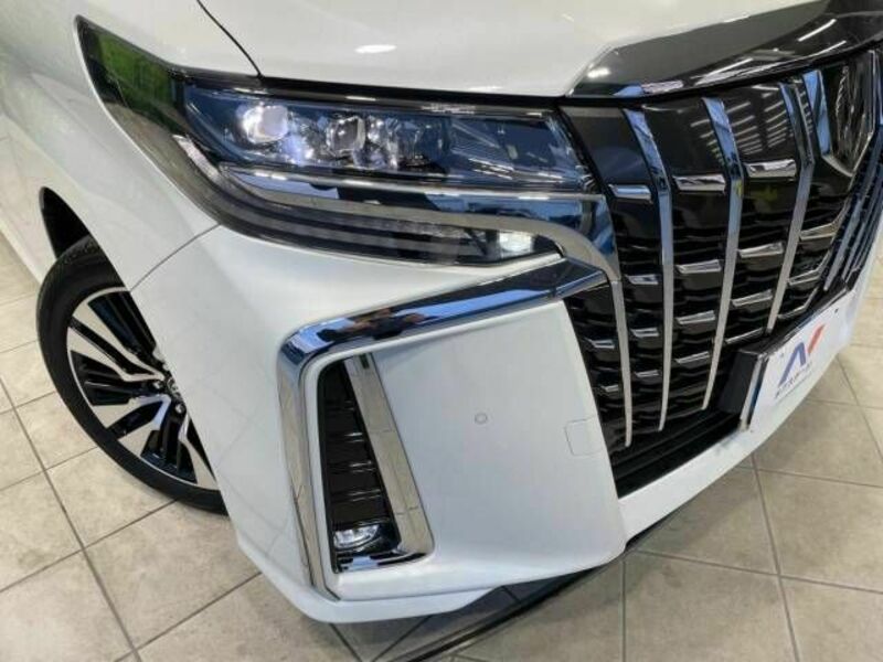 ALPHARD-13