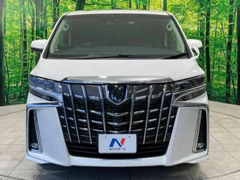 ALPHARD-14