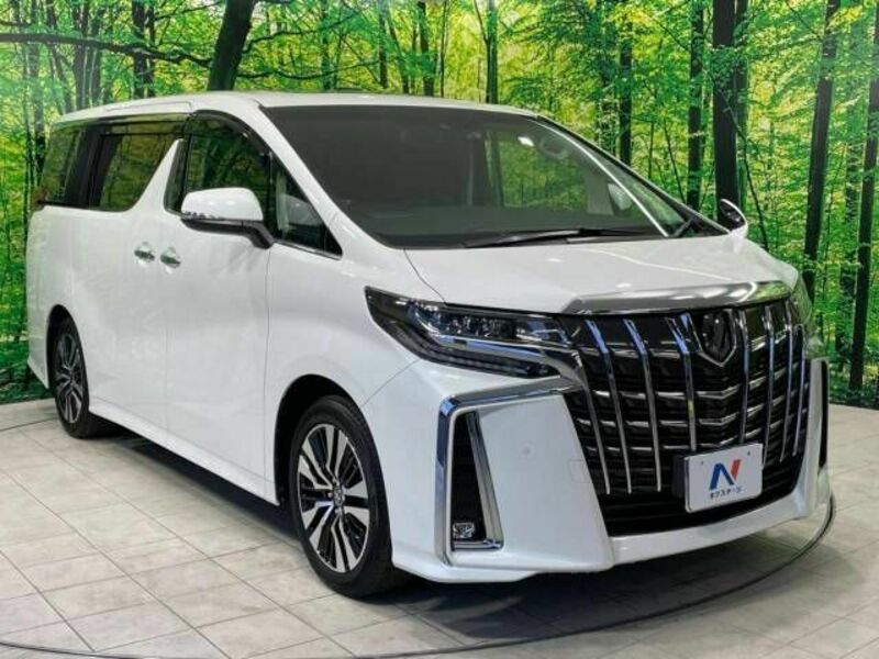 ALPHARD-16