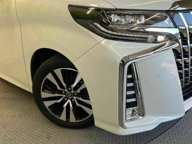 ALPHARD-13