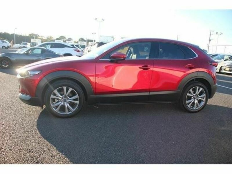 CX-30-9