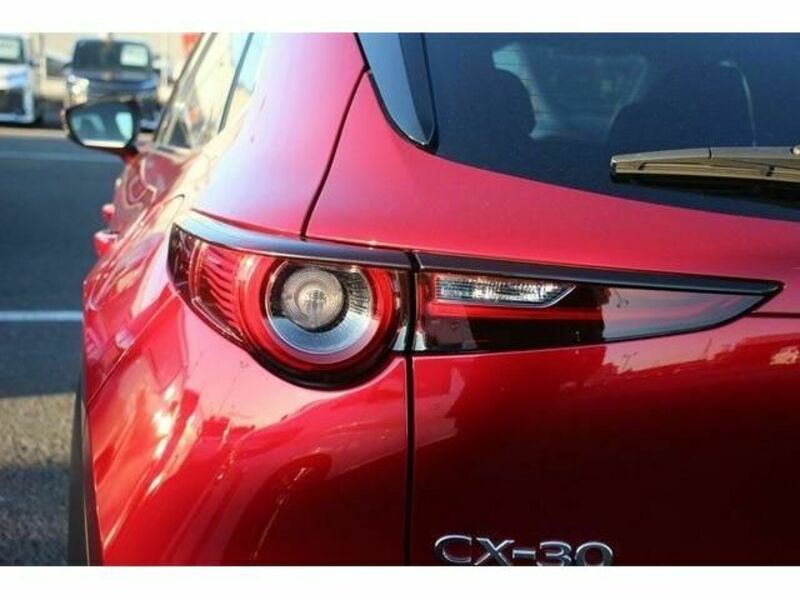 CX-30-13