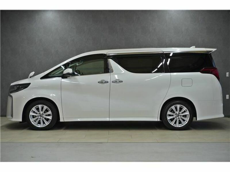 ALPHARD-16