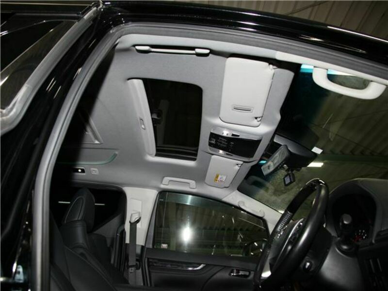 ALPHARD-25