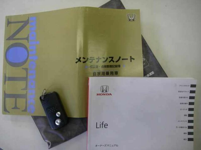 LIFE-11