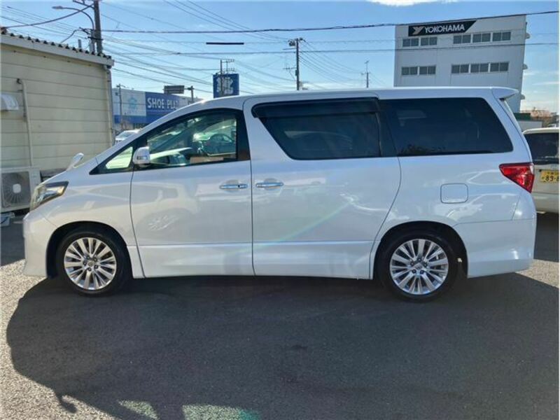 ALPHARD-31