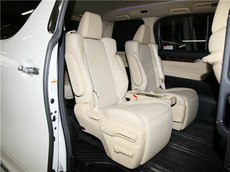 ALPHARD-21