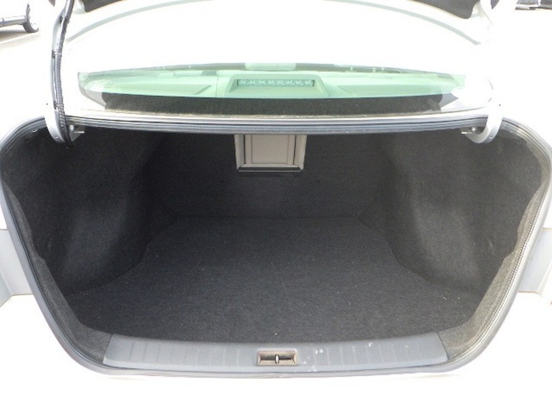 BLUEBIRD SYLPHY