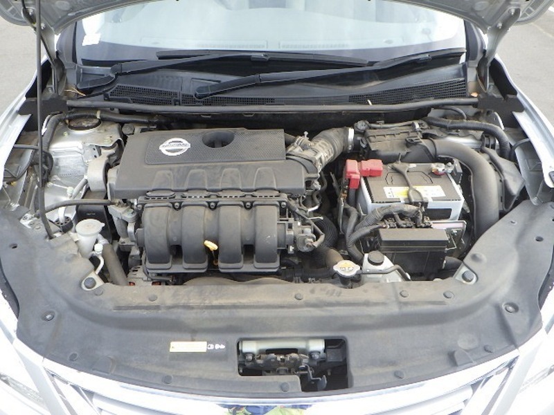 BLUEBIRD SYLPHY