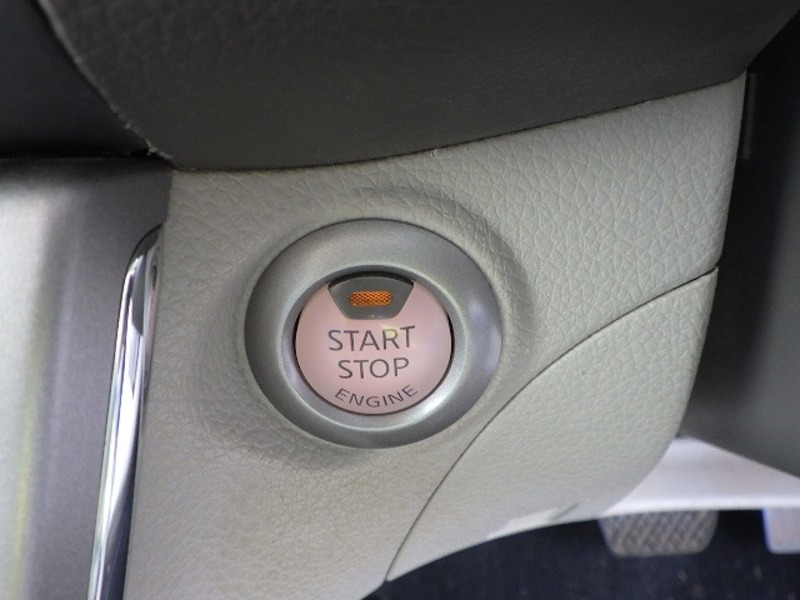 BLUEBIRD SYLPHY