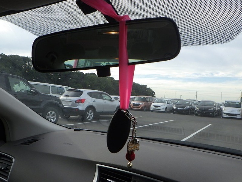 BLUEBIRD SYLPHY