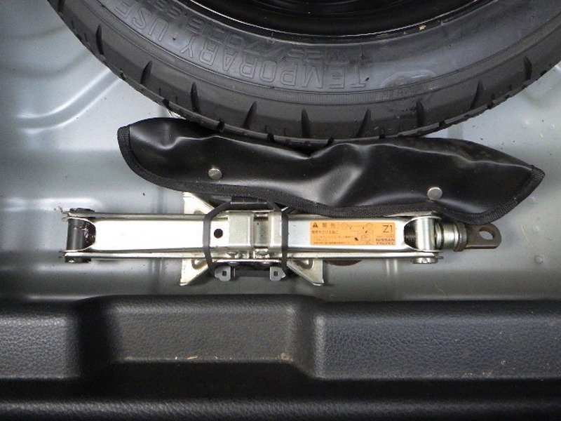 BLUEBIRD SYLPHY