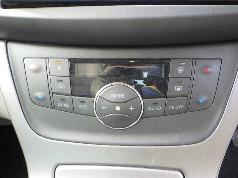 BLUEBIRD SYLPHY