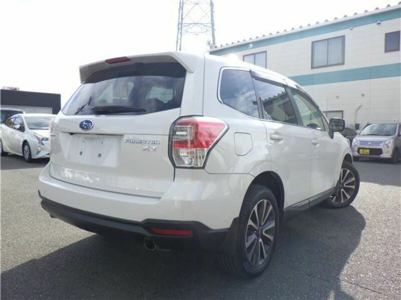 FORESTER-3