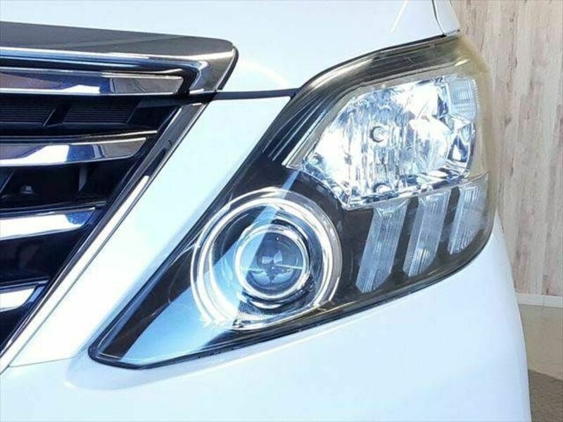 ALPHARD-24