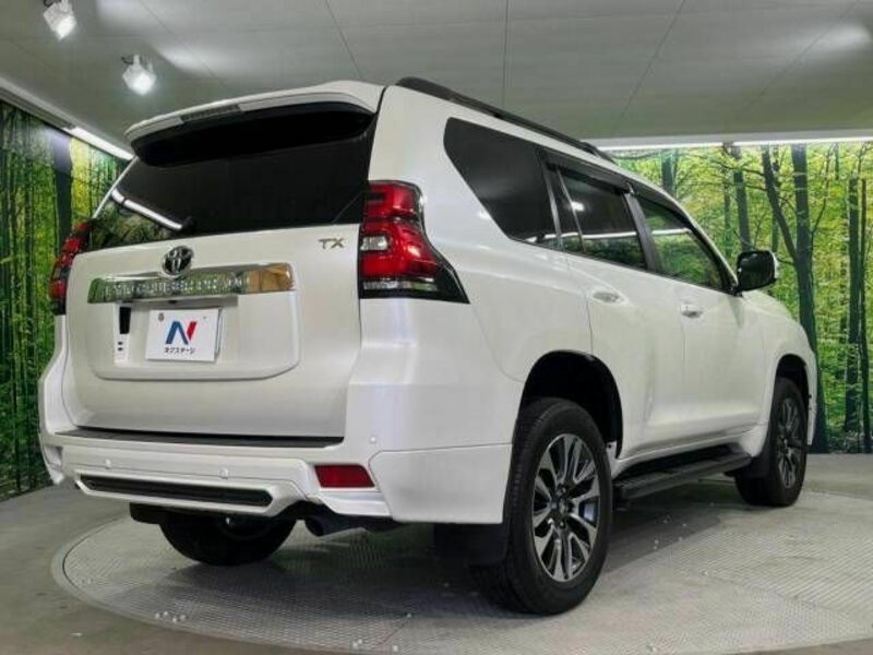 LAND CRUISER PRADO-18