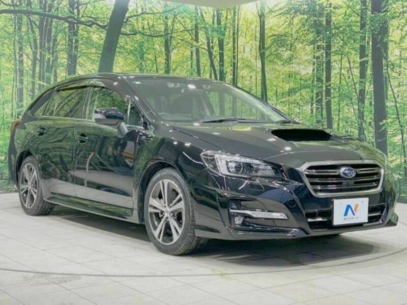 LEVORG-16