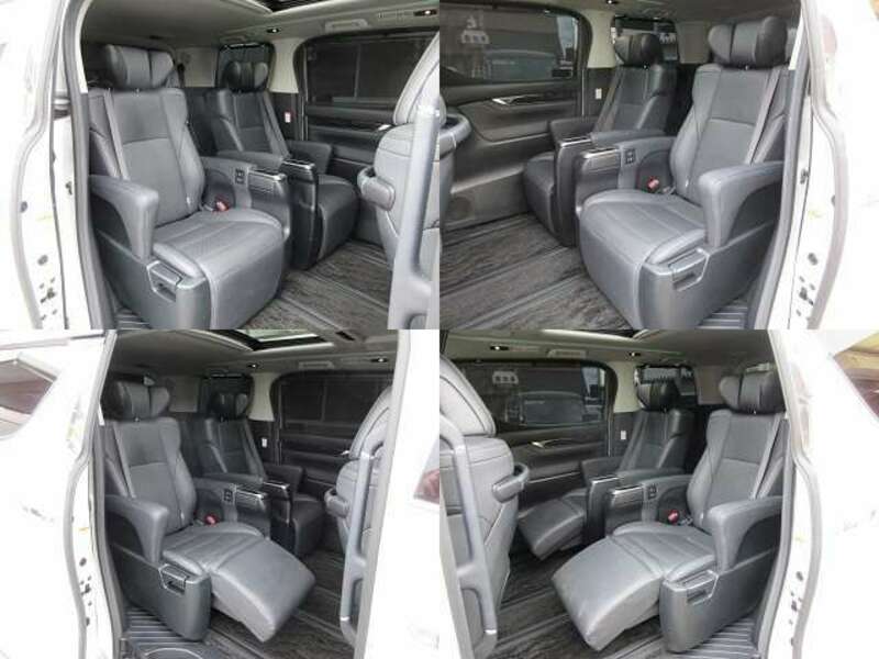 ALPHARD-10