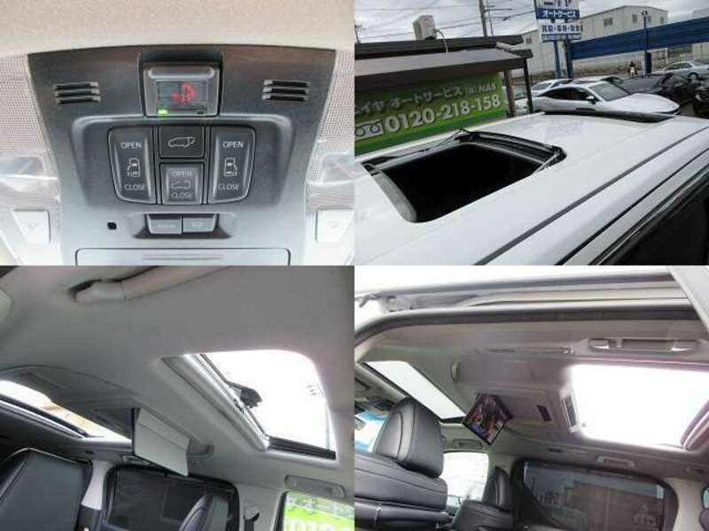 ALPHARD-17