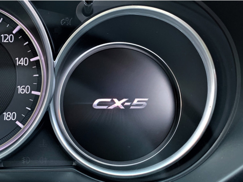 CX-5-19