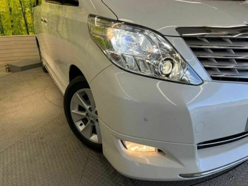 ALPHARD-13