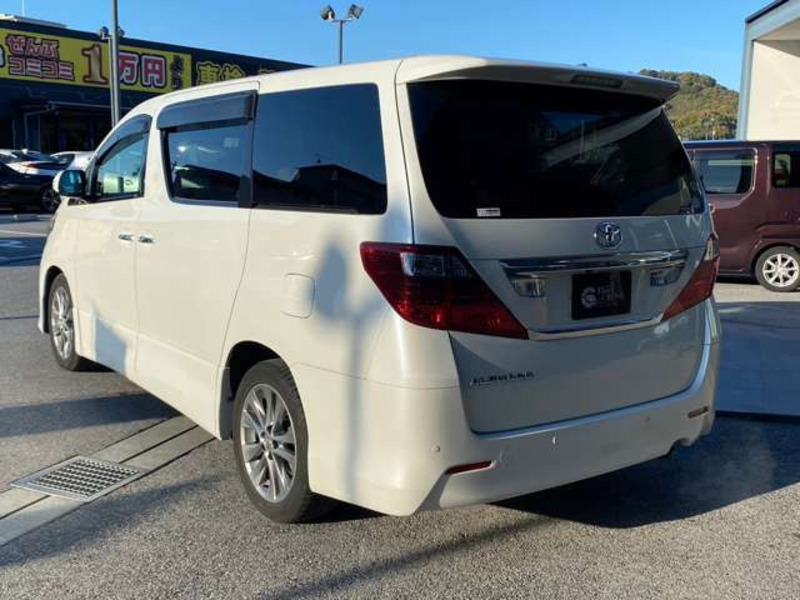 ALPHARD-13