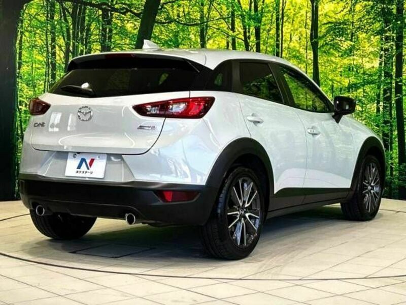 CX-3-17