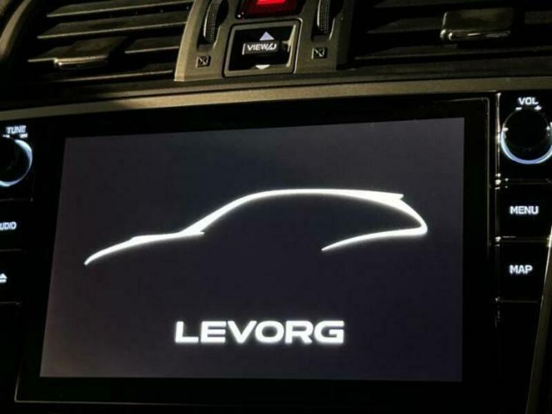 LEVORG-17