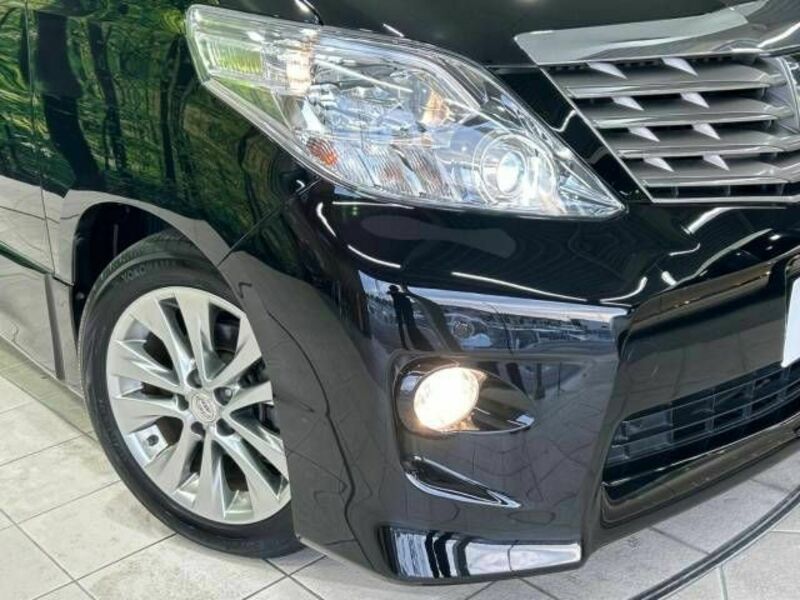 ALPHARD-13